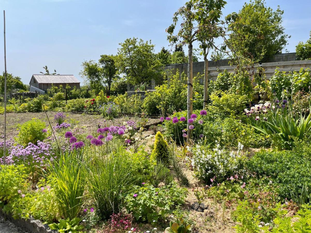 Les Pimprenelles Villa Beauraing Ngoại thất bức ảnh